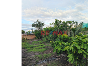 Casa Espaciosa Y Acogedora Con Gran Terreno