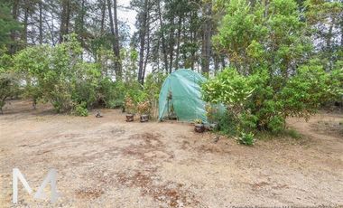 Parcela en arriendo en Algarrobo