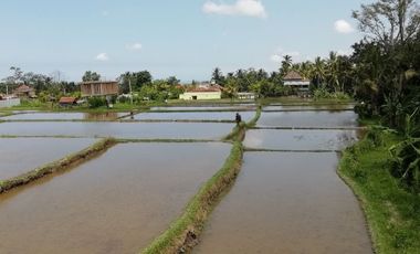 Land for lease views of rice fields, rivers and jungle close Ubud Center Bali