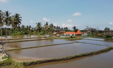 Land for lease views of rice fields, rivers and jungle close Ubud Center Bali