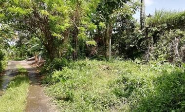 Land for lease views of rice fields, rivers and jungle close Ubud Center Bali