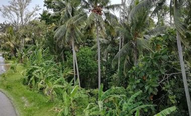Land for lease views of rice fields, rivers and jungle close Ubud Center Bali