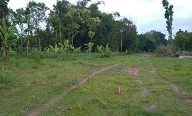 Rumah Di Kawasan Prambanan Harga Lebih Terjangkau