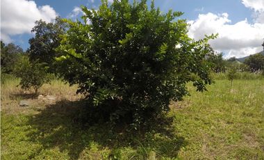 Se Vende Finca en Altos De Pacora $ 600 k AB