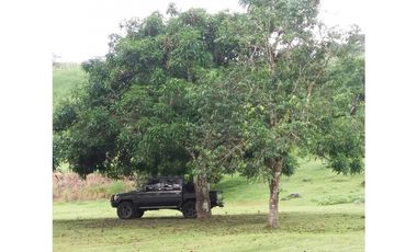 Se Vende Finca en Altos De Pacora $ 600 k AB