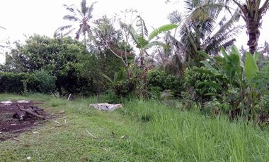 land for sale view terraced rice field in tabanan bali