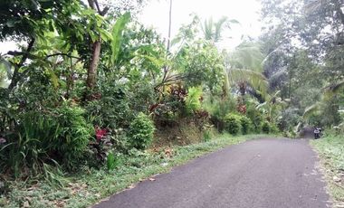 land for sale view terraced rice field in tabanan bali