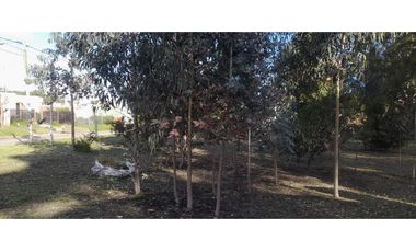 lote terreno 3 LOTES JUNTOS -PLAYA SAN CARLOS-