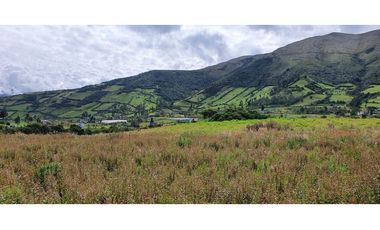 4 HECTAREAS EN LA PANAMERICANA OTAVALO - CAJAS