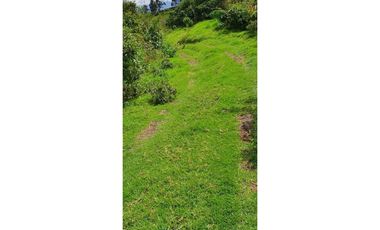 4 HECTAREAS EN LA PANAMERICANA OTAVALO - CAJAS