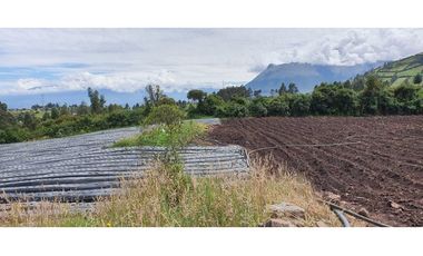 4 HECTAREAS EN LA PANAMERICANA OTAVALO - CAJAS