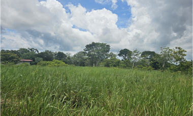 Se Venden Lotes desde 1000mt2  Panamá Oeste