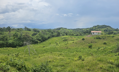 Se Venden Lotes desde 1000mt2  Panamá Oeste