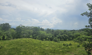 Se Venden Lotes desde 1000mt2  Panamá Oeste