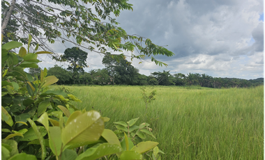 Se Venden Lotes desde 1000mt2  Panamá Oeste