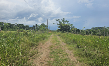 Se Venden Lotes desde 1000mt2  Panamá Oeste