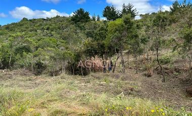 Sitio en Venta en fundo puertecillo