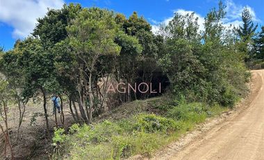 Sitio en Venta en fundo puertecillo