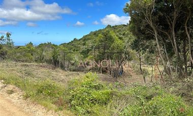 Sitio en Venta en fundo puertecillo