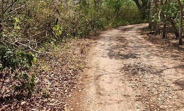 Terreno de 126 has en venta, Tizimin, Yuc., Buena Ubicación.