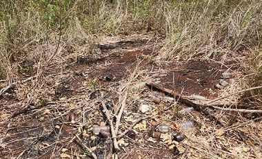 Terreno de 126 has en venta, Tizimin, Yuc., Buena Ubicación.