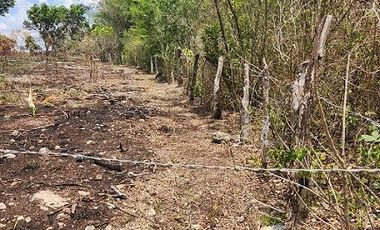 Terreno de 126 has en venta, Tizimin, Yuc., Buena Ubicación.