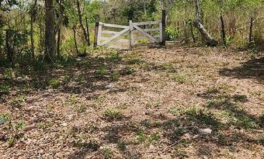 Terreno de 126 has en venta, Tizimin, Yuc., Buena Ubicación.