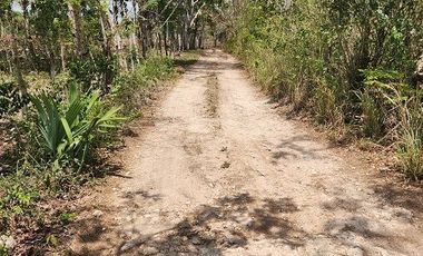 Terreno de 126 has en venta, Tizimin, Yuc., Buena Ubicación.