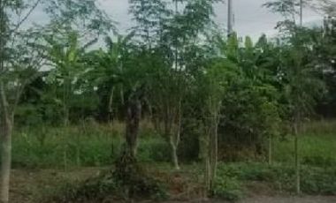 Commercial & Residential Lots for Sale Cainta Greenland Cainta Rizal, contact Donald