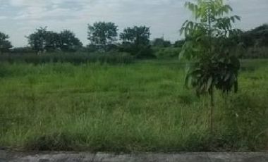 Commercial & Residential Lots for Sale Cainta Greenland Cainta Rizal, contact Donald