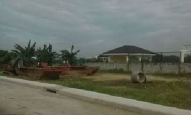 Commercial & Residential Lots for Sale Cainta Greenland Cainta Rizal, contact Donald