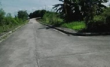 Commercial & Residential Lots for Sale Cainta Greenland Cainta Rizal, contact Donald