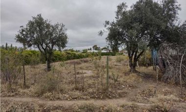 VENDO LOTE SAN RAFAEL MENDOZA