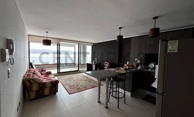 Hermoso departamento estilo mariposa con vista al mar en Pingueral