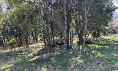 Sector los Pichichis/Sector los Pichichis - Sitio - Arriendo
