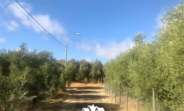 Sitio en Venta en camino pencahue sector Quepo hacia el norte