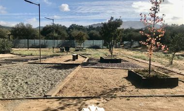 Sitio en Venta en camino pencahue sector Quepo hacia el norte