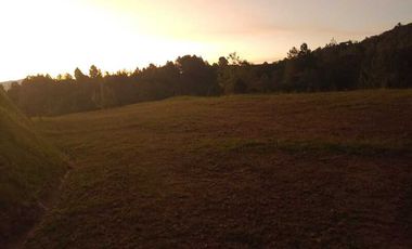 LOTE EN VENTA UBICADO EN EL RETIRO SECTOR EL CHUSCAL