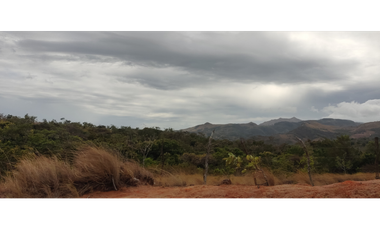 Se Vende Finca de 7.7 hectáreas en San Carlos Laguna