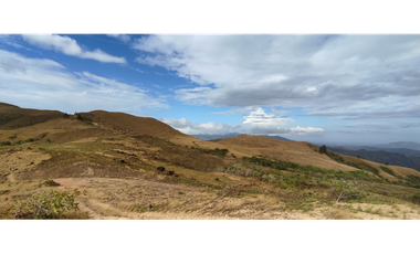 Se Vende Finca de 7.7 hectáreas en San Carlos Laguna