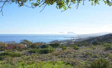 Se Vende Finca de 7.7 hectáreas en San Carlos Laguna