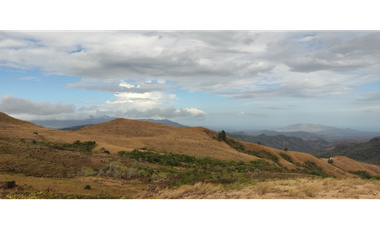 Se Vende Finca de 7.7 hectáreas en San Carlos Laguna