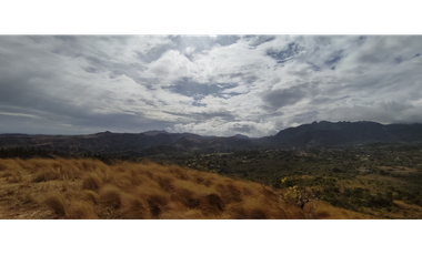 Se Vende Finca de 7.7 hectáreas en San Carlos Laguna