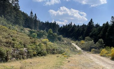 RANCHO EN VENTA