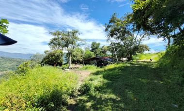 finca en venta en vrda la concepción. Cod V1001204