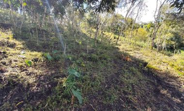 finca en venta en vrda la concepción. Cod V1001204