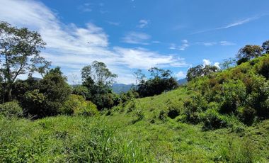 finca en venta en vrda la concepción. Cod V1001204