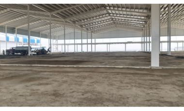 Vía Daule se alquila bodegas 3300 m2 ideal para farmaceuticas