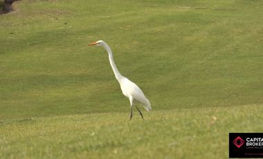 Terreno En Venta Ayamonte Ricardo Legorreta