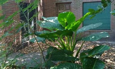 Casa PH en venta en Lanus Este